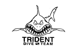 TRIDENT DIVE TEAM trademark