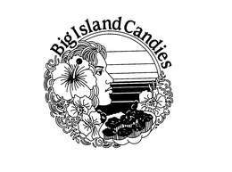BIG ISLANDS CANDIES trademark
