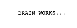 DRAIN WORKS... trademark