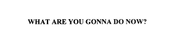 WHAT ARE YOU GONNA DO NOW? trademark