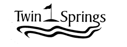 TWIN SPRING trademark