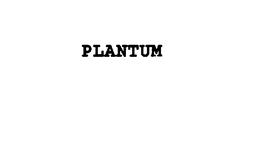 PLANTUM trademark