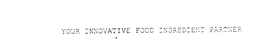 YOUR INNOVATIVE FOOD INGREDIENT PARTNER trademark