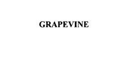 GRAPEVINE trademark