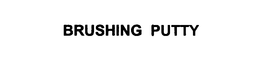 BRUSHING PUTTY trademark