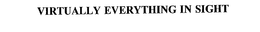 VIRTUALLY EVERYTHING IN SIGHT trademark
