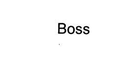 BOSS trademark