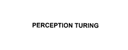 PERCEPTION TURING trademark