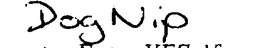 DOG NIP trademark