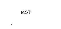 MST trademark