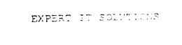 EXPERT IT SOLUTIONS trademark