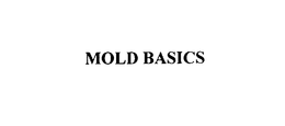 MOLD BASICS trademark