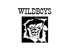 WILDBOYS trademark