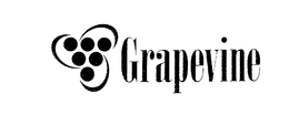 GRAPEVINE trademark