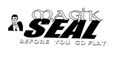 MAGIK SEAL BEFORE YOU GO FLAT trademark
