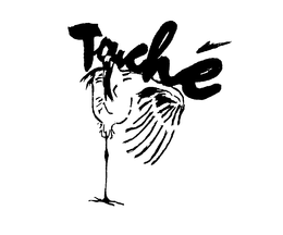 TOUCHE trademark