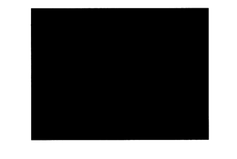 ENEX trademark