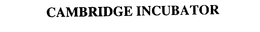 CAMBRIDGE INCUBATOR trademark