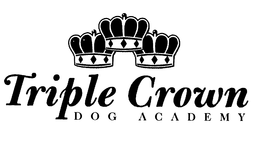 TRIPLE CROWN DOG ACADEMY trademark