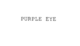 PURPLE EYE trademark