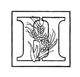 H trademark