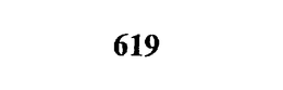 619 trademark