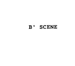 B' SCENE trademark