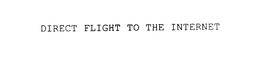 DIRECT FLIGHT TO THE INTERNET trademark