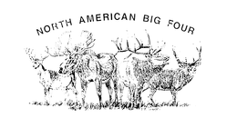NORTH AMERICAN BIG FOUR trademark