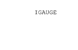 IGAUGE trademark