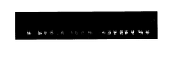 THERMEBOOST trademark