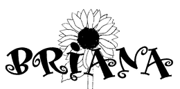BRIANA trademark