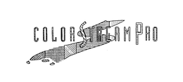 COLORSTREAM PRO trademark