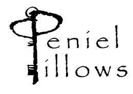 PENIEL PILLOWS trademark