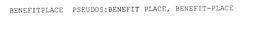 BENEFITPLACE PSEUDOS:BENEFIT PLACE, BENEFIT-PLACE trademark