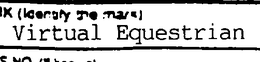 VIRTUAL EQUESTRIAN trademark