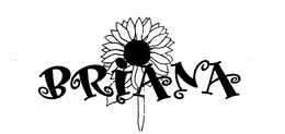 BRIANA trademark