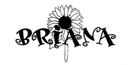 BRIANA trademark