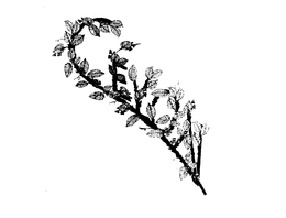 LogoMark trademark