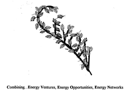 COMBINING...ENERGY VENTURES, ENERGY OPPORTUNITIES, ENERGY NETWORKS trademark