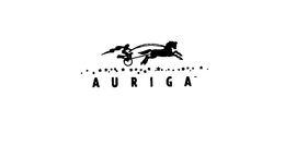 AURIGA trademark