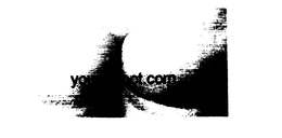 YOURBIGBOT.COM trademark