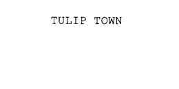 TULIP TOWN trademark