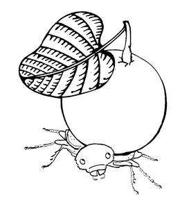 LogoMark trademark