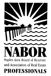 NABOR NAPLES AREA BOARD OF REALTORS ANDASSOCIATION OF REAL ESTATE PROFESSIONALS trademark