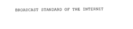 BROADCAST STANDARD OF THE INTERNET trademark