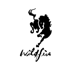 WILDFIRE trademark