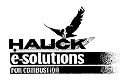 HAUCK E-SOLUTIONS FOR COMBUSTION trademark