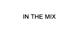 IN THE MIX trademark