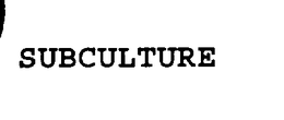 SUBCULTURE trademark